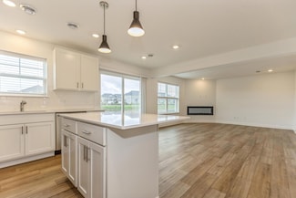 23238 Amber Dr, Rogers, MN 55374