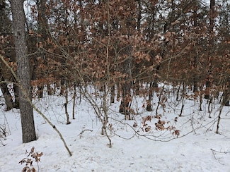 V/L Unity Dr, Idlewild, MI 49642