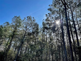 6 +/- Acs Cr 3400, Colmesneil, TX 75938