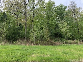 0 Mountain Ridge Rd Unit 25024711, Batesville, AR 72501