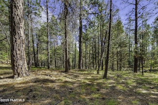 00 S Comstock Mine Rd, Prescott, AZ 86303