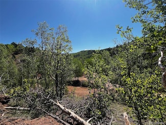 2136 Golden Cycle Cir, Cripple Creek, CO 80813