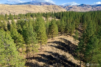 18 Wild Rose Rd, Winthrop, WA 98862