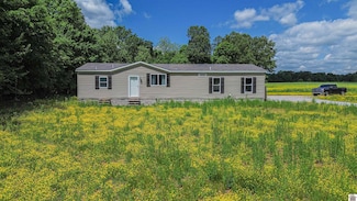 944 Salem Chapel Rd S, Benton, KY 42025