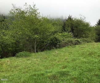 53000 Blk S Beach Road Tl 219, Neskowin, OR 97149