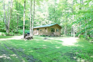 3961 Pumpkin Hollow Rd, Allegany, NY 14706