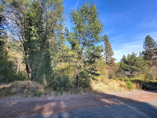 0 W Colombero Dr, McCloud, CA 96057