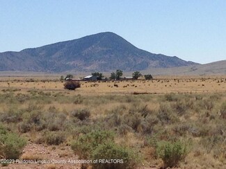 215 Frontier Rd, Carrizozo, NM 88301