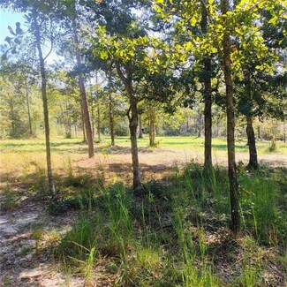 5608 Sam Lewis Rd, Citronelle, AL 36522