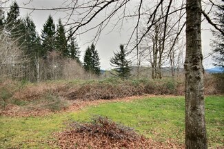 257 SE 192nd St, Maple Valley, WA 98038