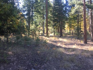 11 County Road 2195 Unit Lot 5 Alpine Forest, Alpine, AZ 85920