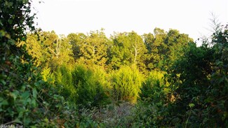 XXX Possum Trot Rd, Ash Flat, AR 72513