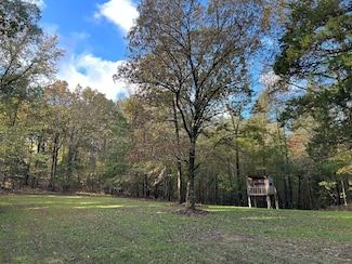 0 Lafayette Springs Rd, Thaxton, MS 38871