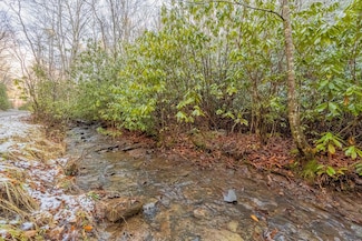 Lot 11 Wyrick Trail, Bland, VA 24315