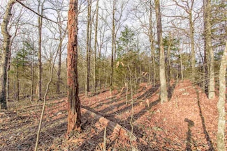 TBD Oak Ridge Rd, Hardy, AR 72542
