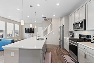 3011 Low Meadow Blvd, Castle Rock, CO 80109