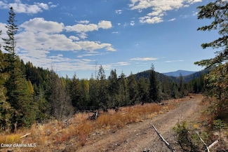 114a Packer Creek Rd, Haugen, MT 59842
