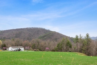 0 Blue Hole Rd, Bergton, VA 22811
