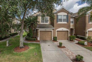 8534 Sandy Beach St, Tampa, FL 33634