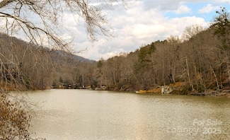 00 Buffalo Creek Rd, Lake Lure, NC 28746