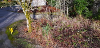 0 Caseco Ln Unit 23606651, Port Orchard, WA 98366