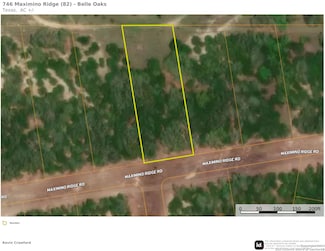 746 Maximino Ridge Rd, Bulverde, TX 78163