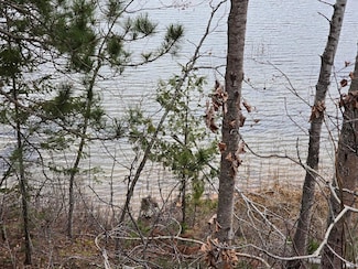 V/L 0.25AC Lost Lake Rd, Bismarck Township, MI 49743