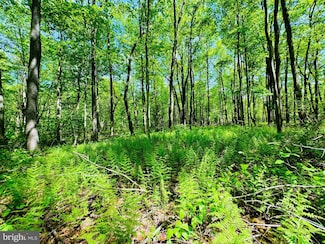 Lot: 36 Paradise Rd, Todd Township, PA 16657