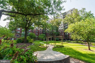 7333 New Hampshire Ave Unit 520, Takoma Park, MD 20912