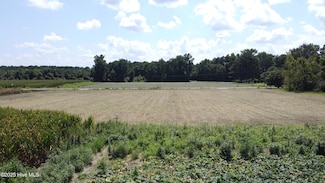 0 Suttontown Rd Unit 100519366, Faison, NC 28341