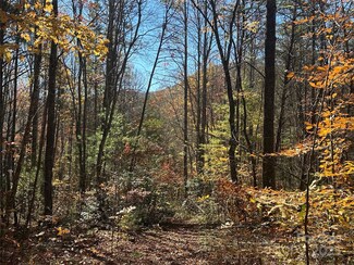 99999 Morgan Hill Rd Unit 3, Fairview, NC 28730