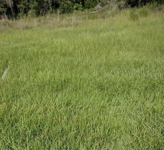 141 Angus Rd, Venus, FL 33960