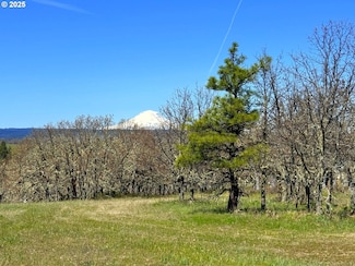 0 Centerville Hwy Unit 3 304992495, Lyle, WA 98635
