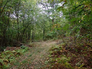 LOT 2 Dinnerbell-5forks Rd, Wharton Township, PA 15437