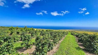 95-3869 Halemauna Rd, Naalehu, HI 96772