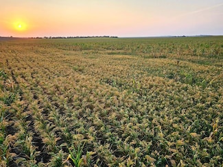 Tbd Road 32, Lodgepole, NE 69149