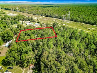 3152 N Bert Terrace, Crystal River, FL 34428