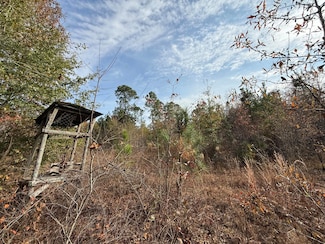 3391 Davis Bridge Rd, Williston, SC 29853