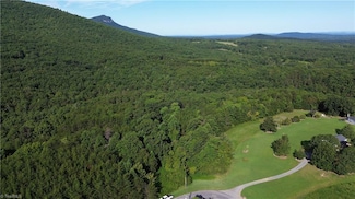01 Hanging Rock Forest Rd Unit Tract D (14ac), Danbury, NC 27016