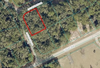 TBD Locust Drive Trail, Ocala, FL 34472