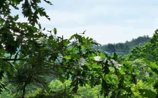 LT 13 Whippoorwill Walk Rd, Mineral Bluff, GA 30559