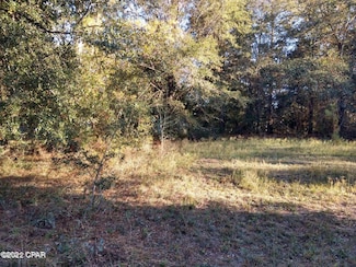 0 Marian Dr Unit 733441, Bonifay, FL 32425