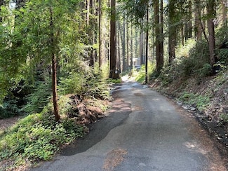 141 Leafwood Dr, Boulder Creek, CA 95006