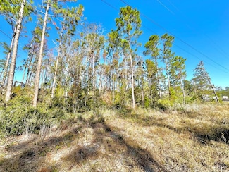 0000 Oak Pond Cir, Steinhatchee, FL 32359