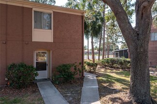 155 114th Ave N, St. Petersburg, FL 33716