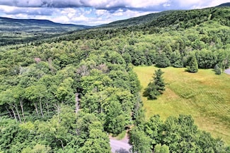 419 Clum Hill Rd, Hunter, NY 12442