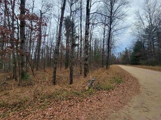 Lot 473 Deerwood Trail, Beaver Creek Township, MI 48653