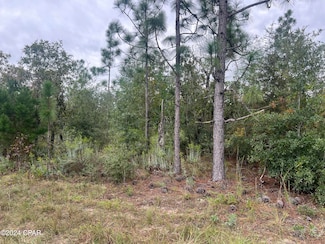 000 NW Barksdale Ln, Fountain, FL 32438