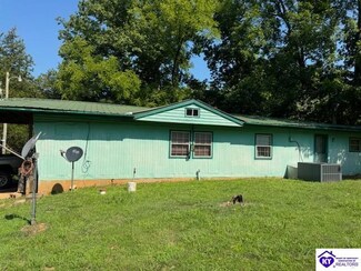 90 Fentress Hideout Ln, Leitchfield, KY 42754