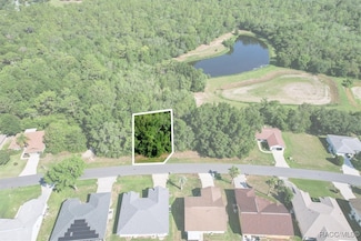 911 W Colbert Ct, Beverly Hills, FL 34465